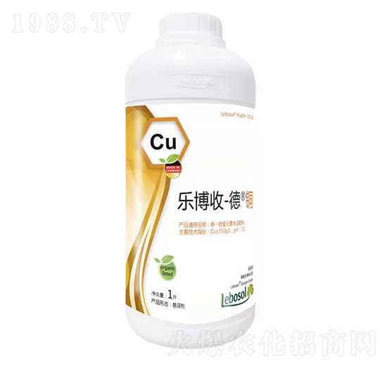 ��(l��)����-���~-����