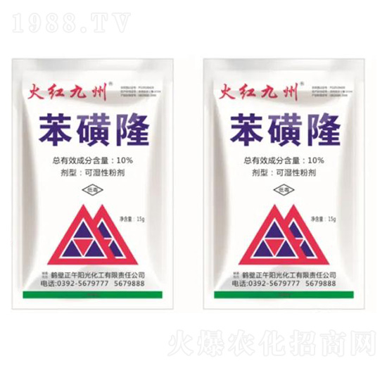 10%����¡-��t����-����ꖹ�