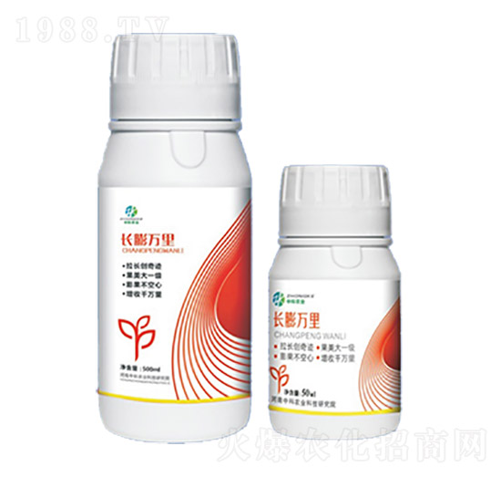 �L(zh��ng)���f(w��n)��-�п��r(n��ng)�I(y��)