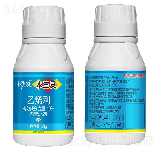 40%��ϩ��-�����`-С�к�-����ɭ