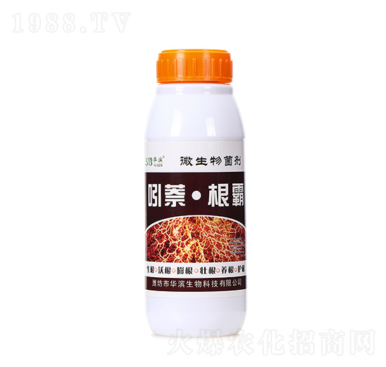 ����������-�A�I