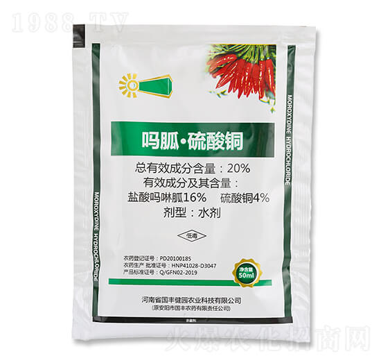 20%���ҡ������~-���ְ���