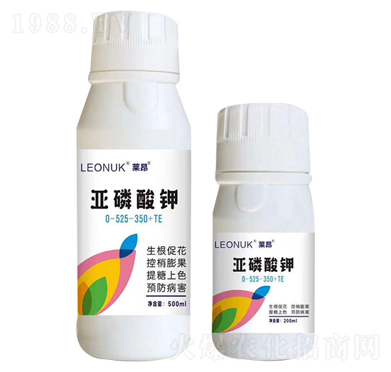 �������0-525-350+TE-�R�����W