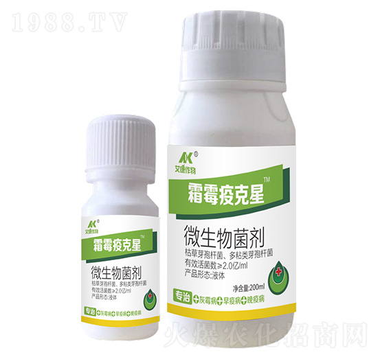 ΢�������-˪ù�߿���-��������