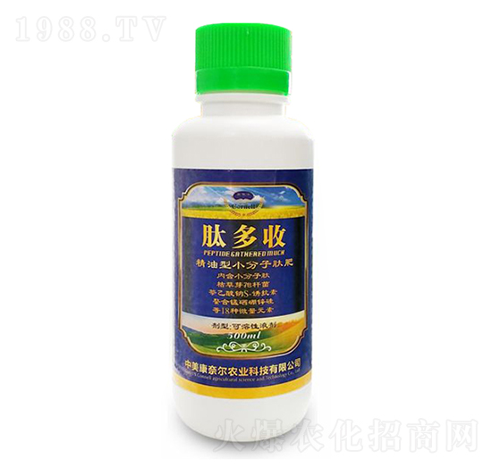 �Ķ���-�����S-���Π�