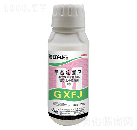 80%�׻�����` ���ϰ��Т� ��Ӎ����