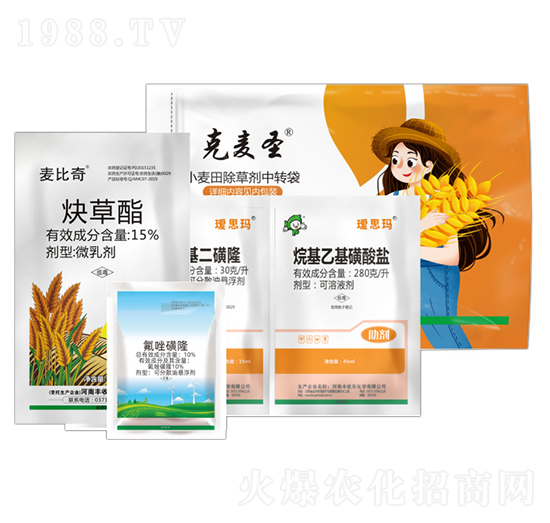 ����Ժ̲�һ���-����ʥ-�S�՘�