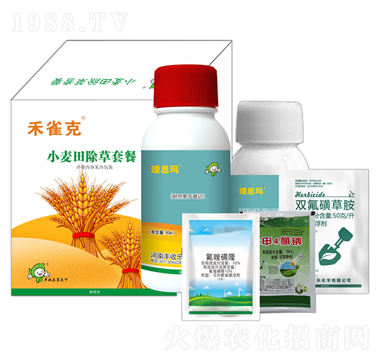 С��������ײ�-��ȸ��-�S�՘�(l��)