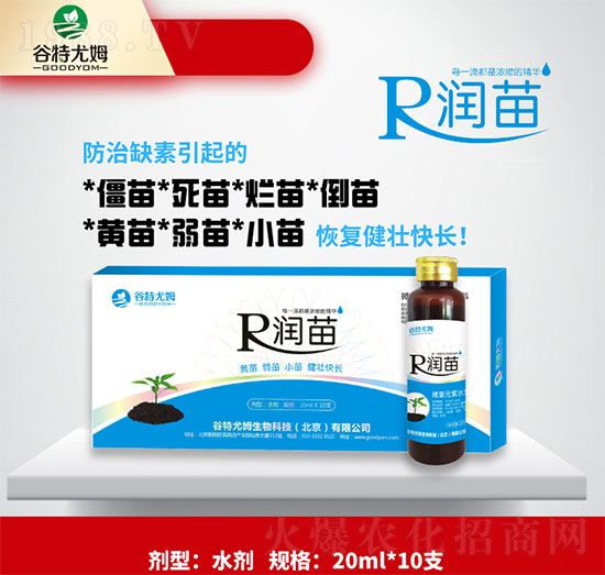 ����-�S����������С�罡�ѿ��L-������ķ