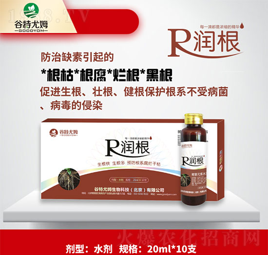 ����-�����졢���������A����ϵ�����ɿ�-������ķ