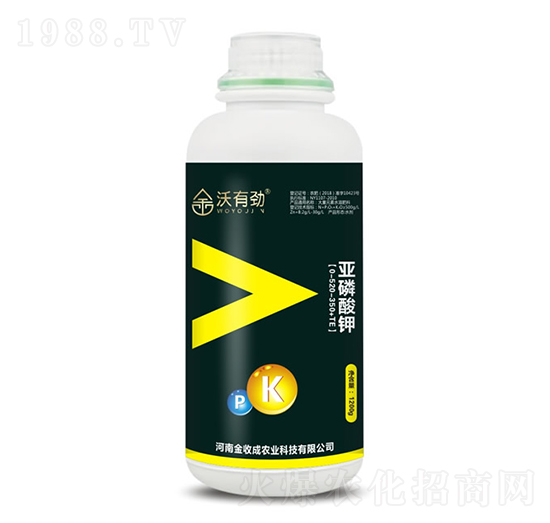 �������-���Є�-���ճ�