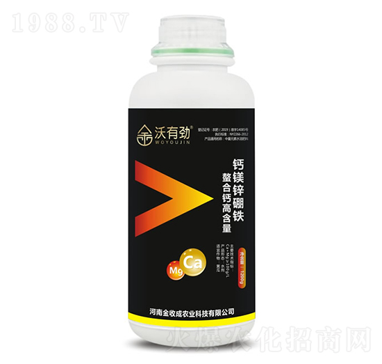 �}�V�\���F-���Є�-���ճ�