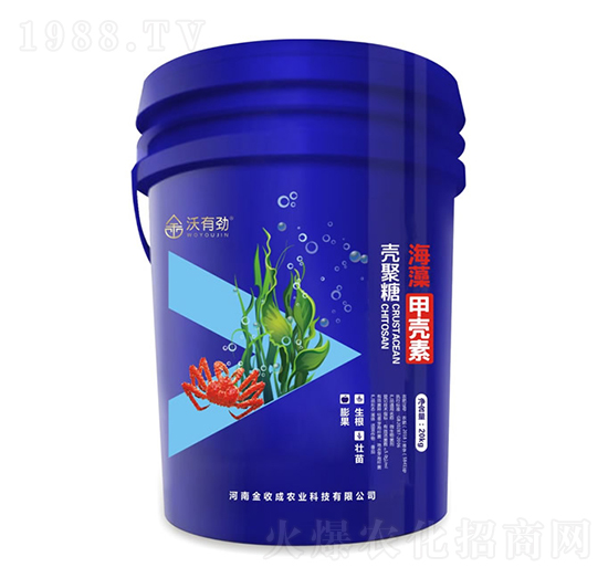 ����ך���-���Є�-���ճ�