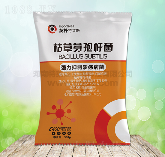 �ݲ�ѿ�ߗU��-Ӣ�����R˹