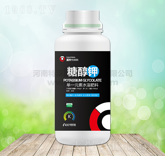 �Ǵ��-Ӣ�����R˹