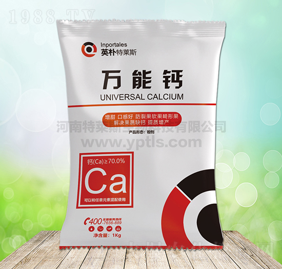 ȫ���}-Ӣ�����R˹