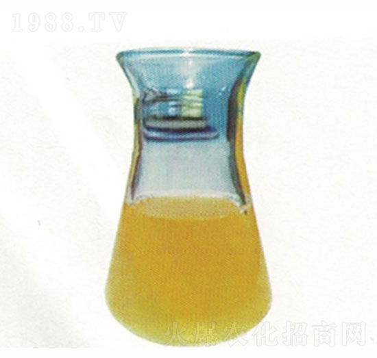 �۹Ȱ���-ɽ�|����