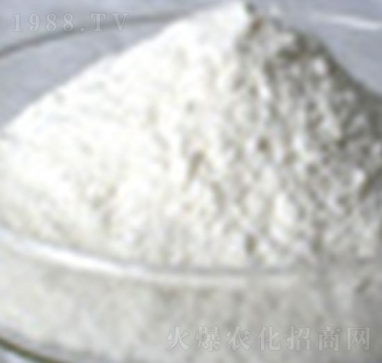 ������-ɽ�|����