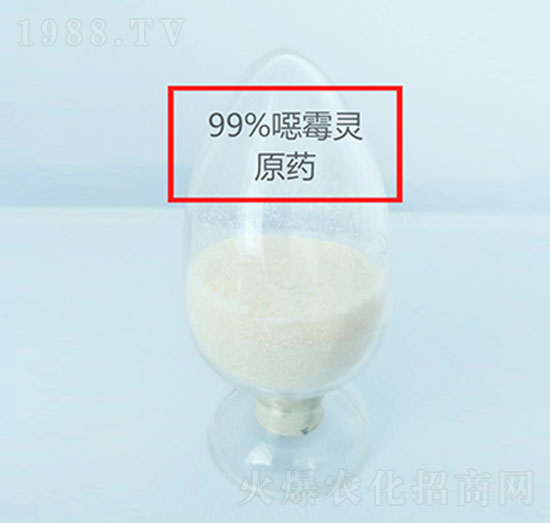 �fù�`ԭˎ-ɽ�|����