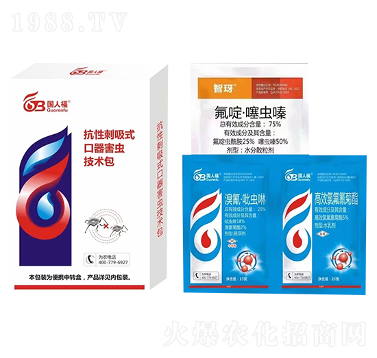 ���Դ���ʽ���x���g(sh��)��-��(gu��)�˸�