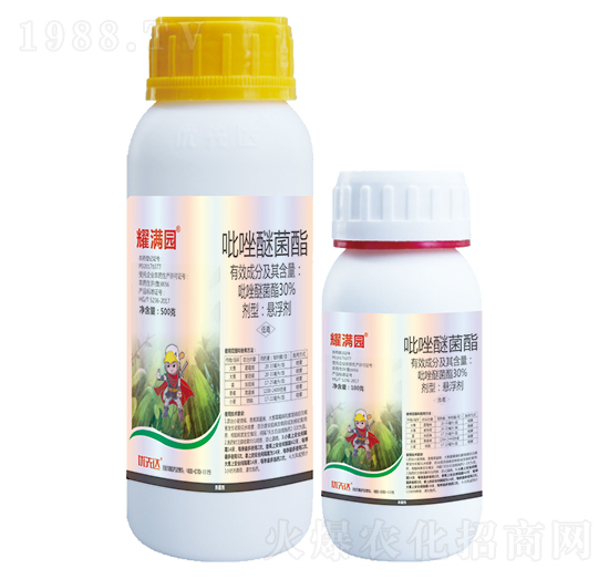 30%�����Ѿ���-ҫ�M�@-��(y��u)���_(d��)