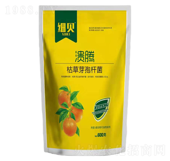 �ݲݡ�ѿ�ߗU��-����-��ؐ-������