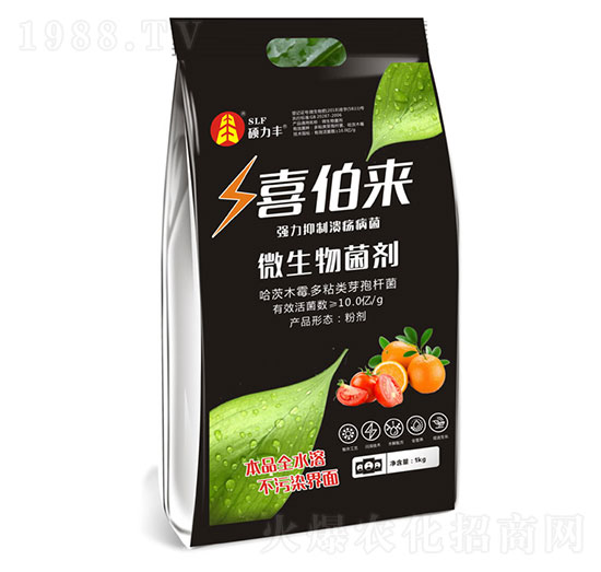 ΢�������-ϲ����(l��i)-�T���S����