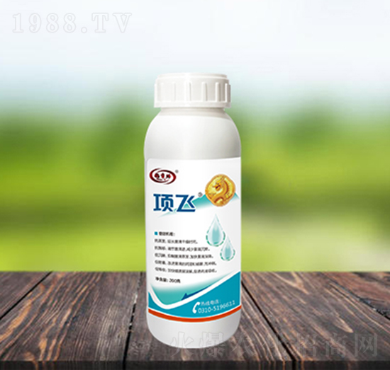 200���w��������Ч��-�(xi��ng)�w-������