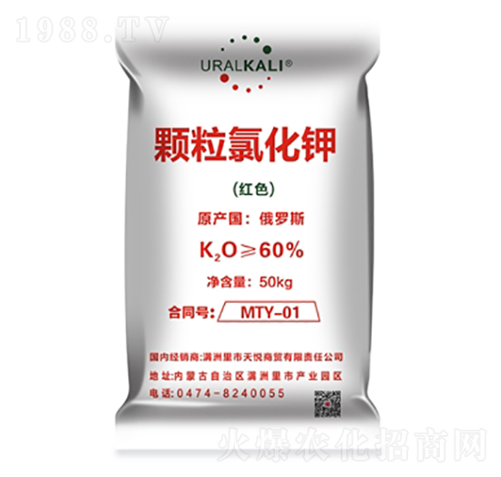 �w���Ȼ��-����R��