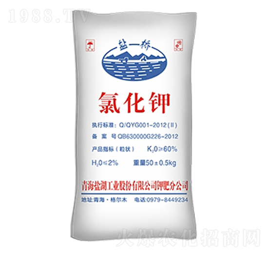 �Ȼ��-�}��-����R��