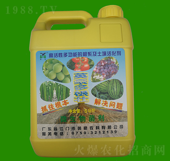 �����-Ӣ��