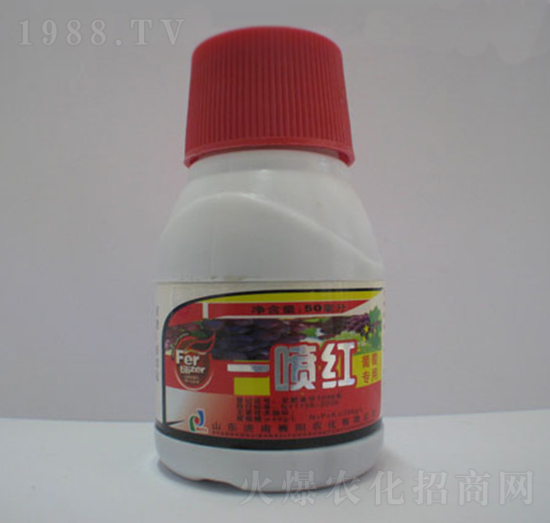 ���ь���һ���t-ِ�����