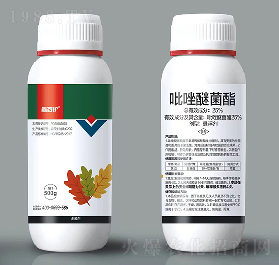 25%�����Ѿ���-�ΰ��o