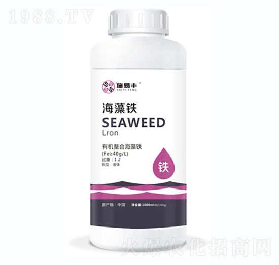 �����F-ʩ���S