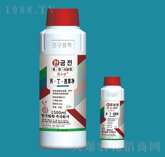 50%�����������݃�-�n����-�n�ѻ��W