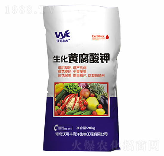 �����S�����-�ֿ��S