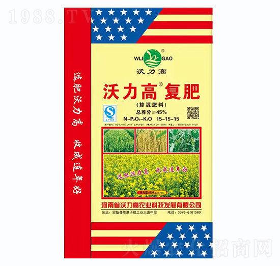 �������15-15-15-�����ߏ�(f��)��-������