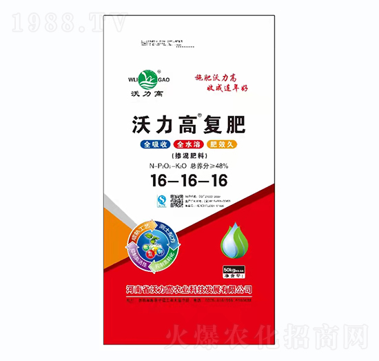 �������16-16-16-�����ߏ�(f��)��-������