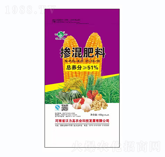 �������31-10-10-������