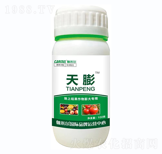 ���Ϲ���������-����-٤�נ�-�_˼ķ