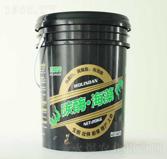 ̼ø����-�Gչ�ʘI(y��)