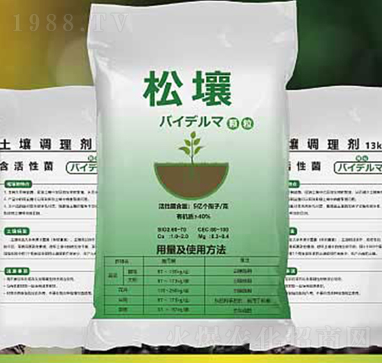 ����-����ʘI(y��)