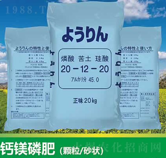 �}�V�׷�20-12-20-����ʘI(y��)