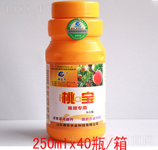 �Ҍ�-���A�r�I(y��)