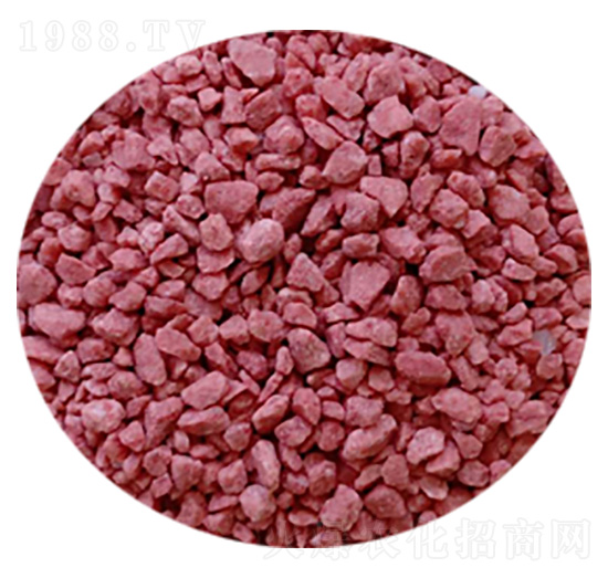 �t��w��-ِ���طʘI(y��)