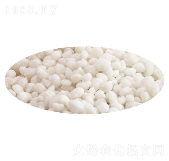 �w���������@-ʢ��ʘI(y��)