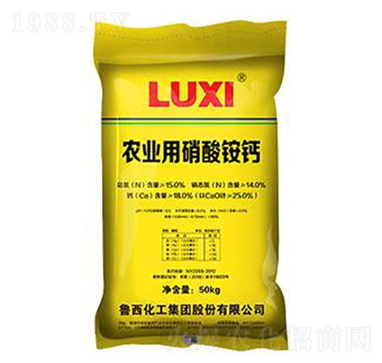 50kg�r�I(y��)�������@�}���S����-��������