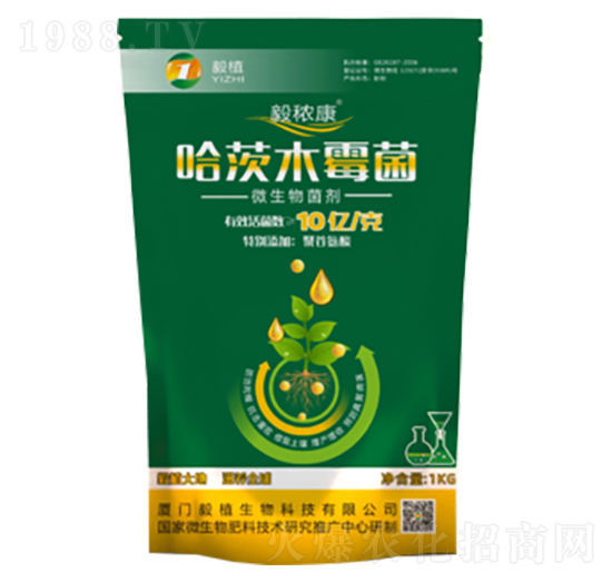 ����ľù��-�㶌��-��ֲ