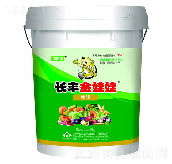 �L�S�����ޣ����壩-�G����-�L�S����