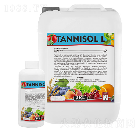 �����-˹�͸��_